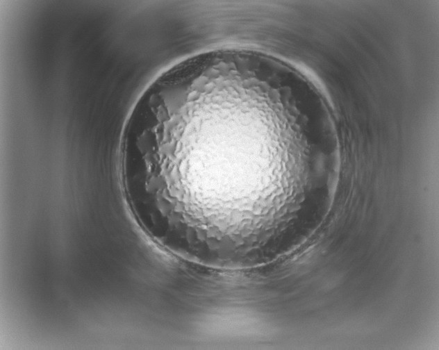 X0000071830911200607072206