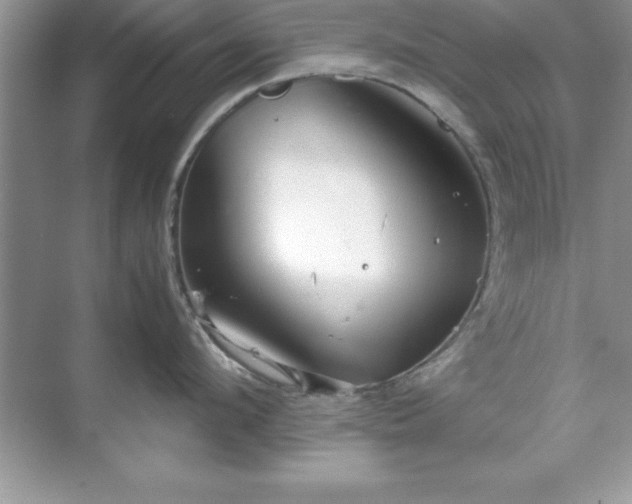 X0000071830912200607072206