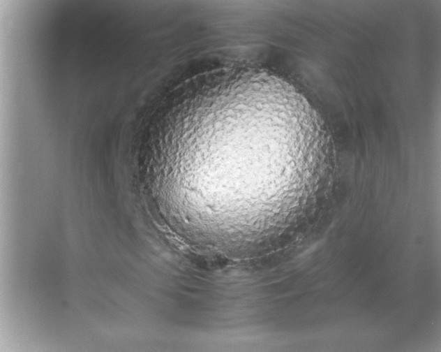 X0000071830913200607072205