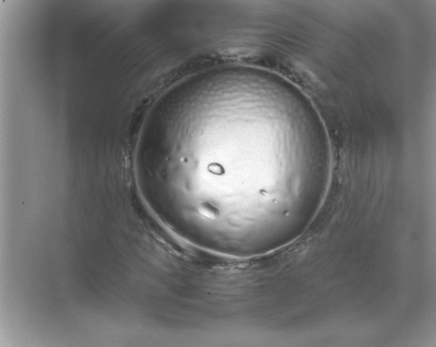 X0000071830917200607072206