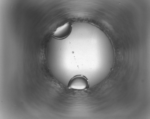 X0000071830918200607072206