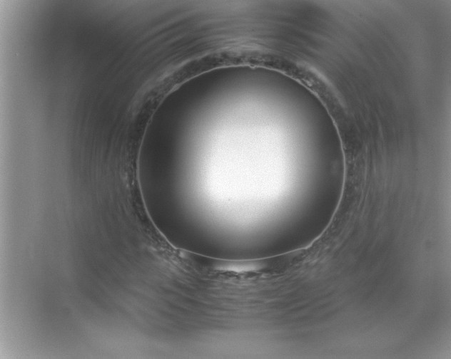 X0000071830919200607072206