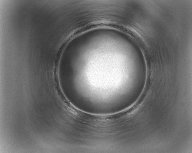 X0000071830921200607072206