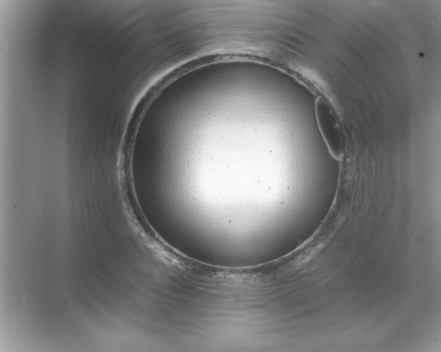 X0000071830928200607072206