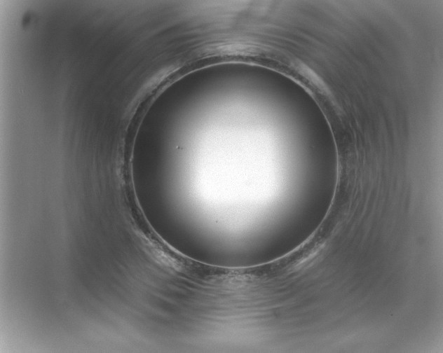 X0000071830930200607072206