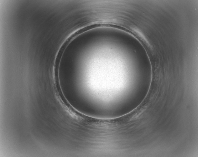 X0000071830932200607072206