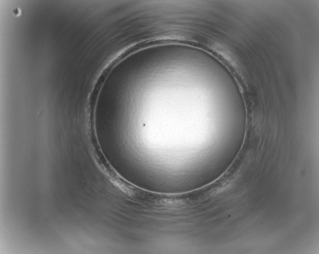 X0000071830933200607072206