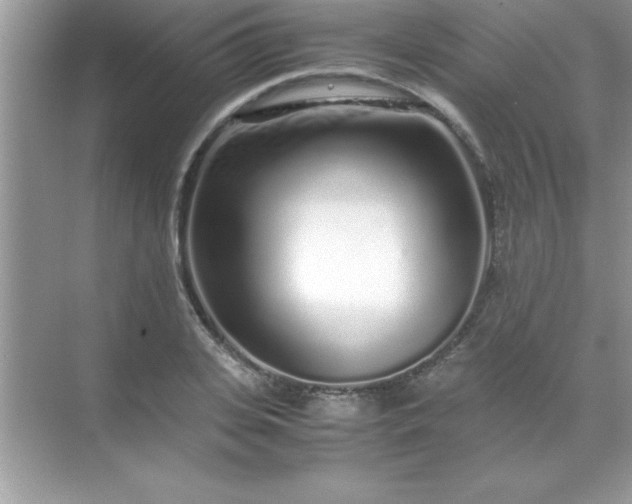 X0000071830935200607072206