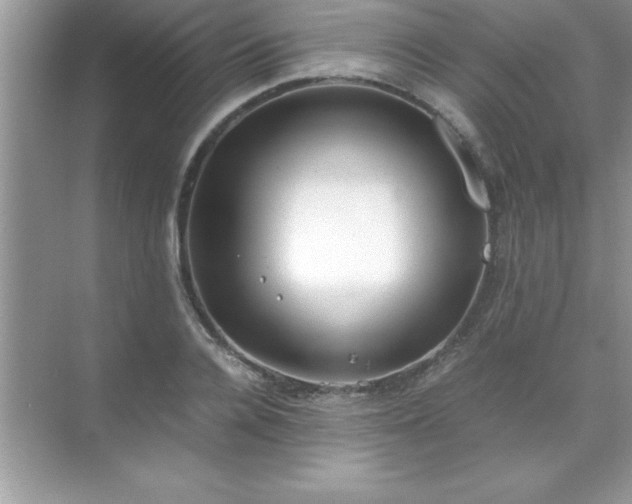 X0000071830936200607072206