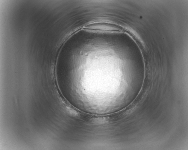 X0000071830937200607072206