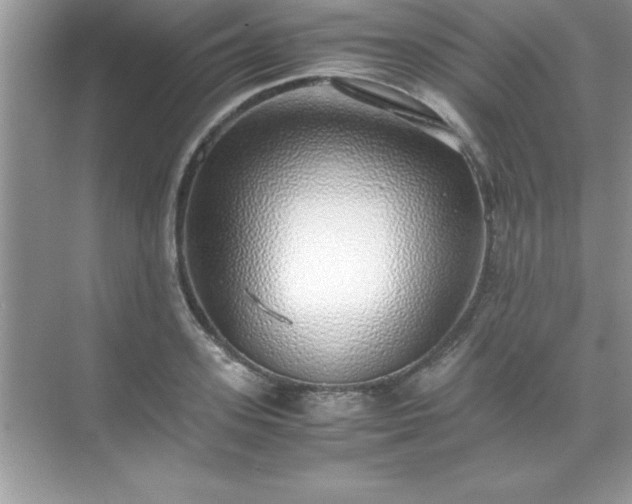 X0000071830939200607072206