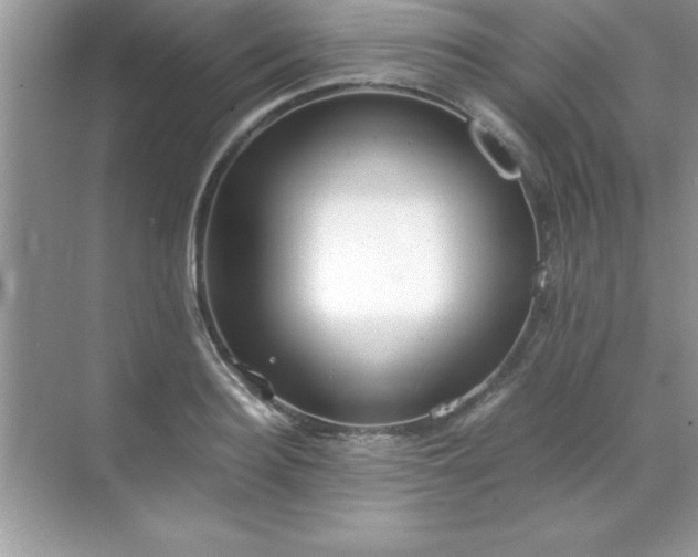 X0000071830940200607072206