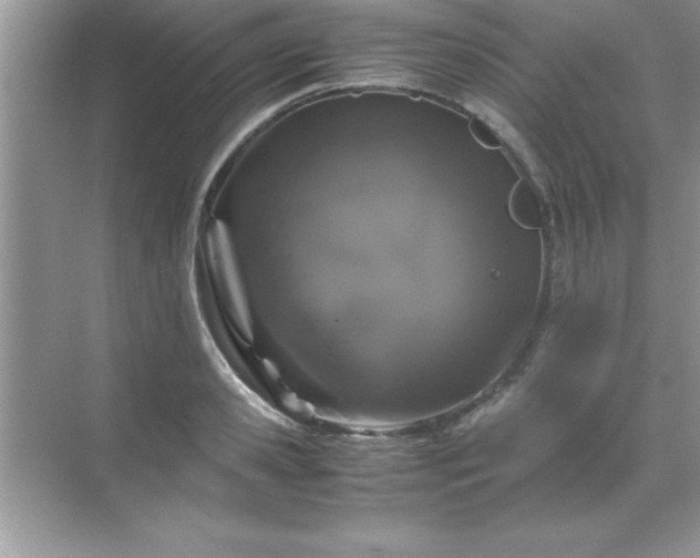 X0000071830941200607072206