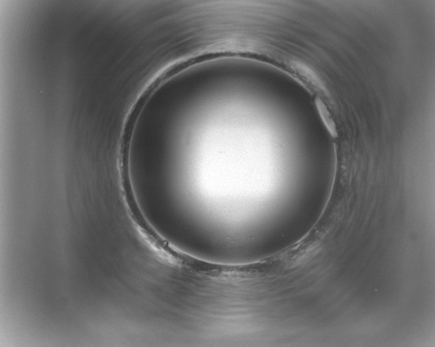 X0000071830942200607072206