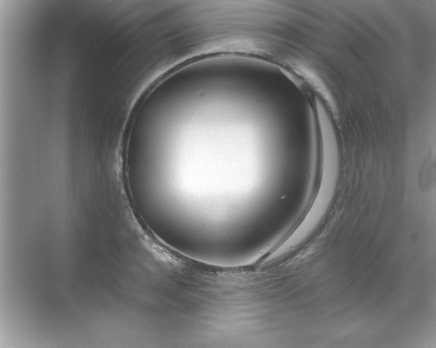 X0000071830944200607072206