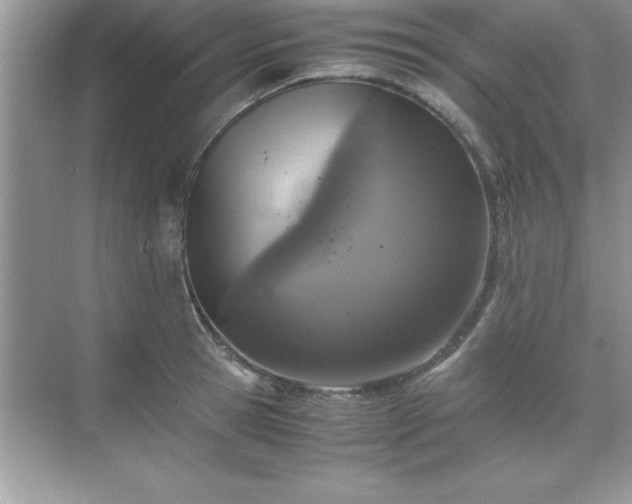 X0000071830945200607072206