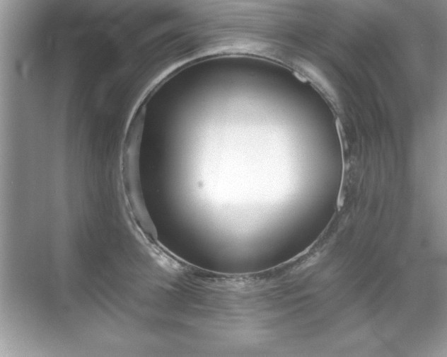 X0000071830948200607072206