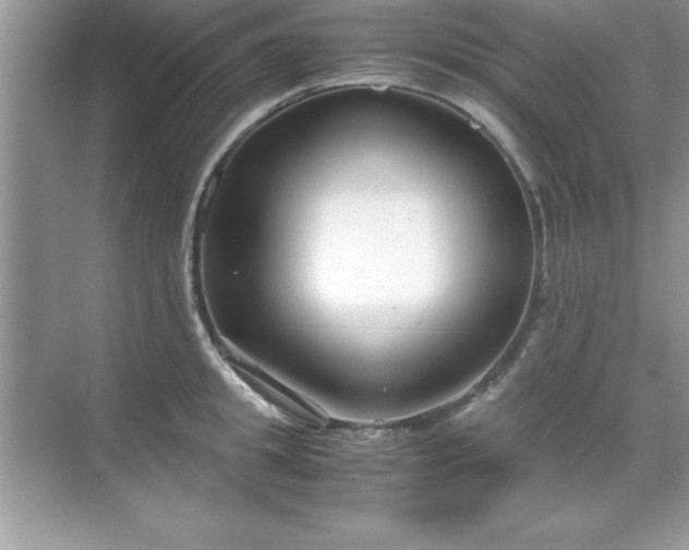 X0000071830949200607072206