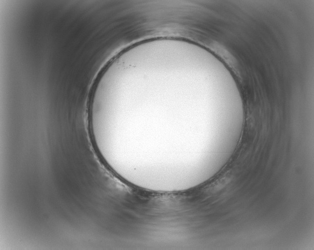 X0000071830950200607072206