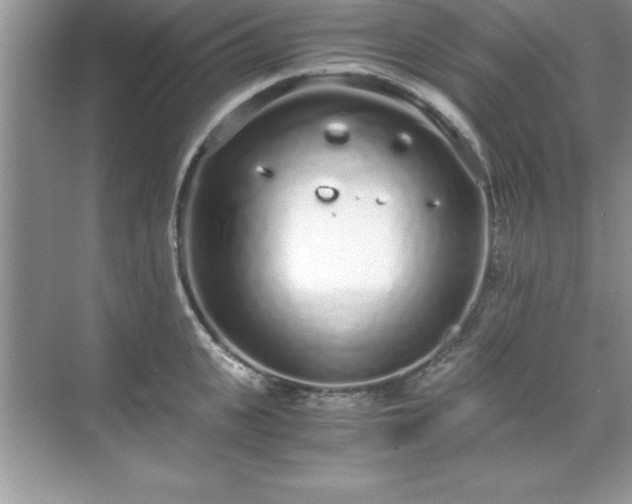 X0000071830951200607072206