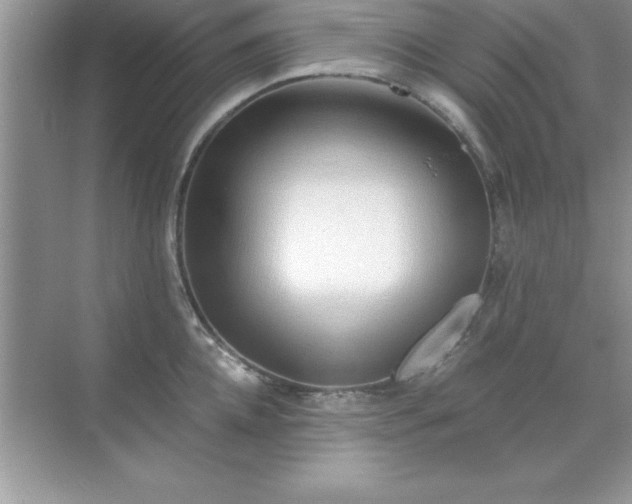 X0000071830952200607072206