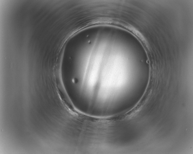 X0000071830953200607072206