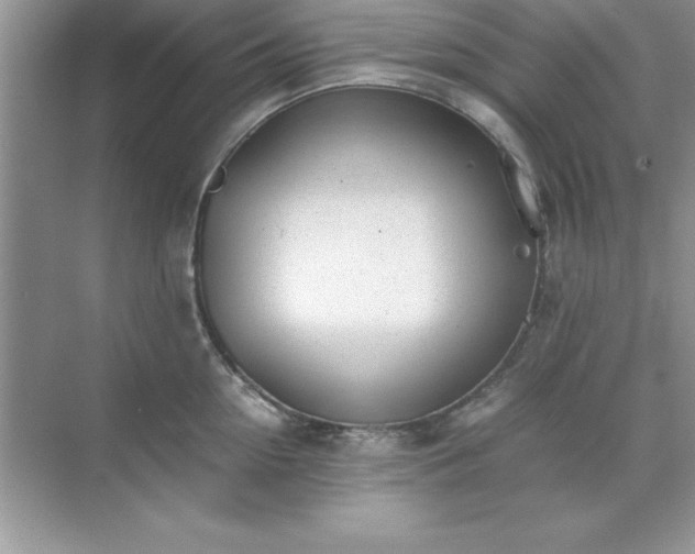 X0000071830954200607072206