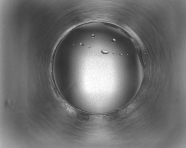 X0000071830956200607072206