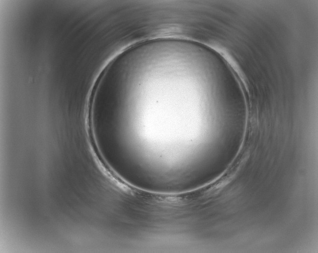 X0000071830957200607072206