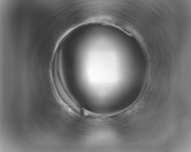 X0000071830960200607072206