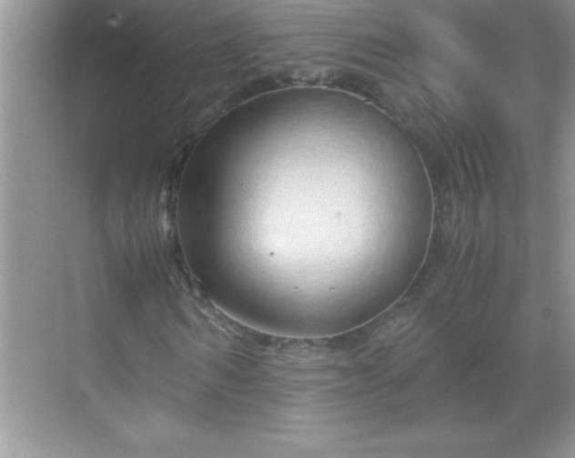 X0000071830962200607072205