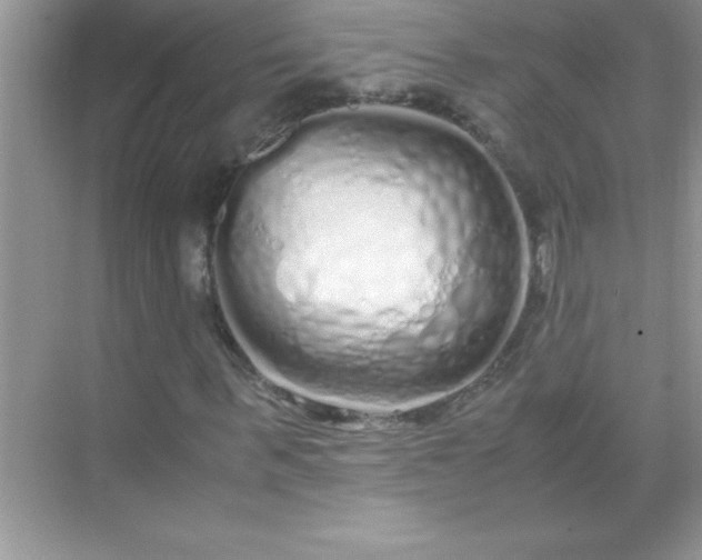 X0000071830963200607072205