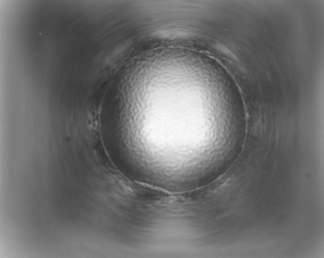 X0000071830966200607072205