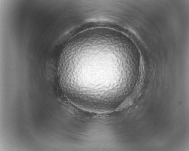 X0000071830967200607072205