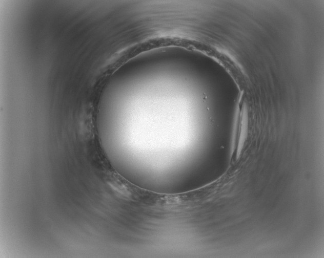 X0000071830968200607072205