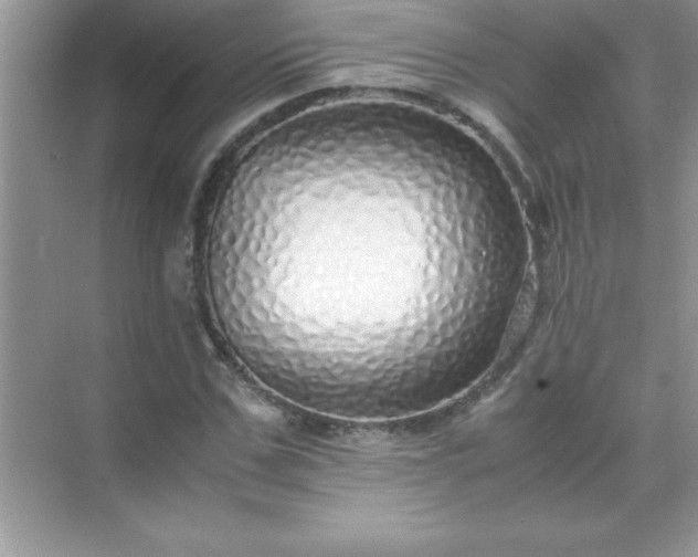 X0000071830971200607072205