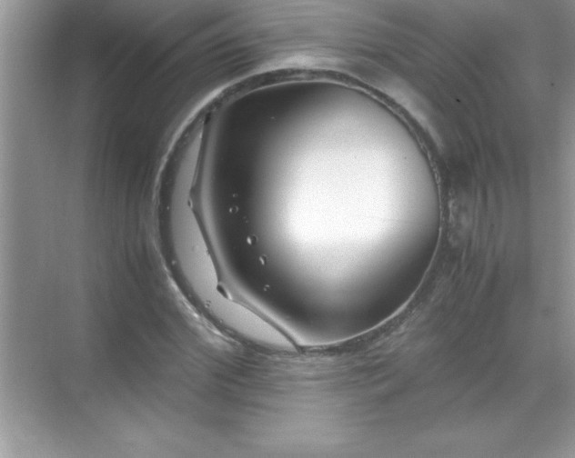 X0000071830972200607072205