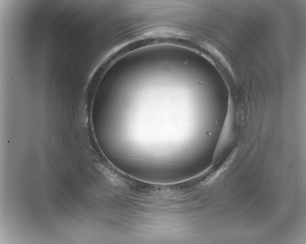 X0000071830973200607072205