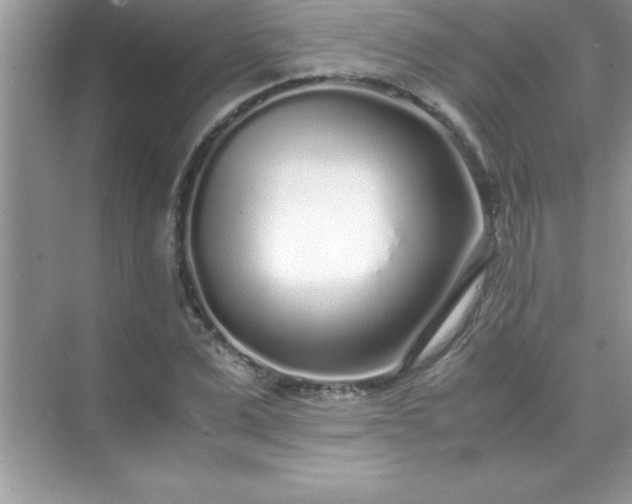 X0000071830975200607072205