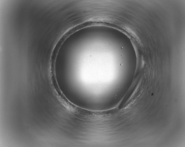 X0000071830976200607072205