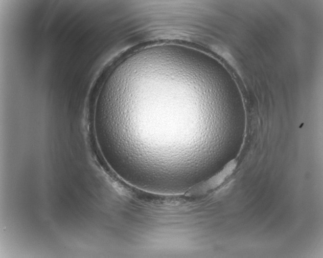 X0000071830979200607072205