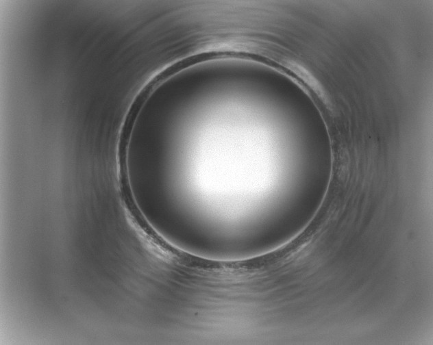 X0000071830980200607072205