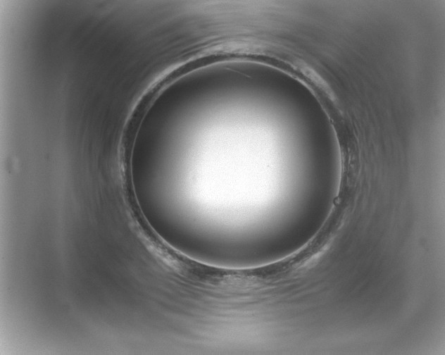 X0000071830981200607072205