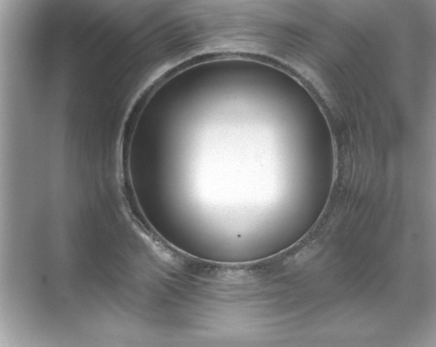 X0000071830982200607072205