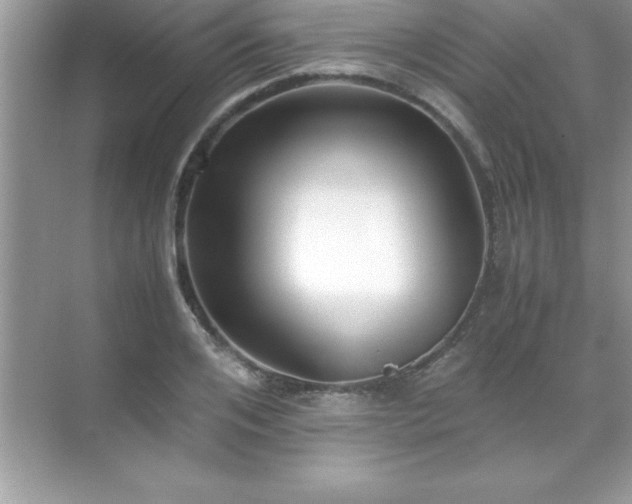 X0000071830984200607072205