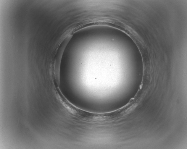 X0000071830985200607072205