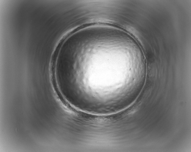 X0000071830987200607072205