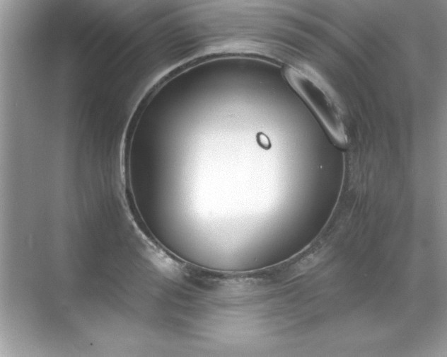 X0000071830988200607072205