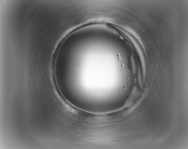 X0000071830989200607072205