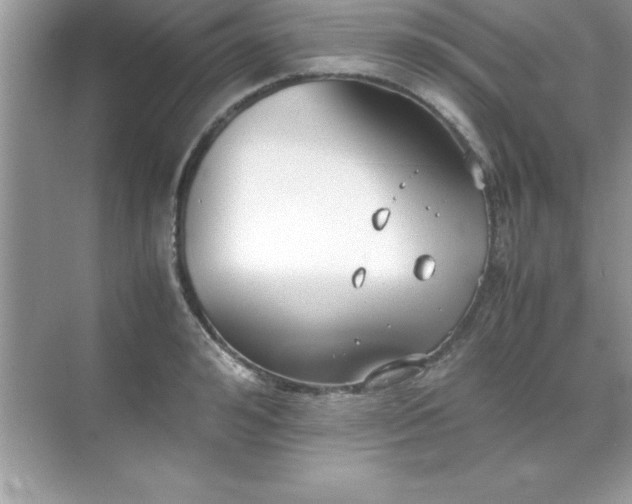 X0000071830992200607072205